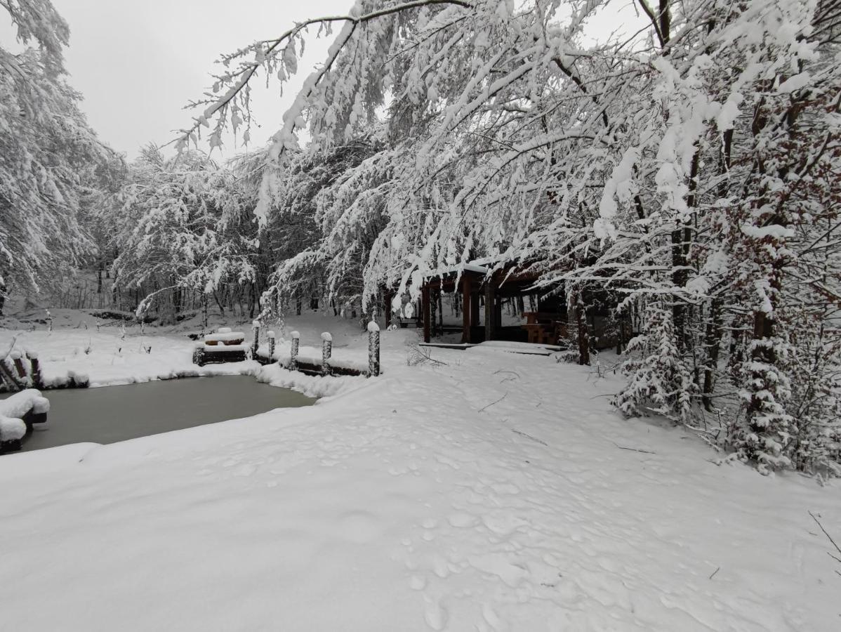 Miedzy Drzewami Villa Biecz Buitenkant foto